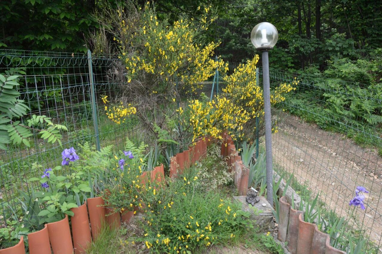 Casa Omnia B&B Castellamonte Екстериор снимка